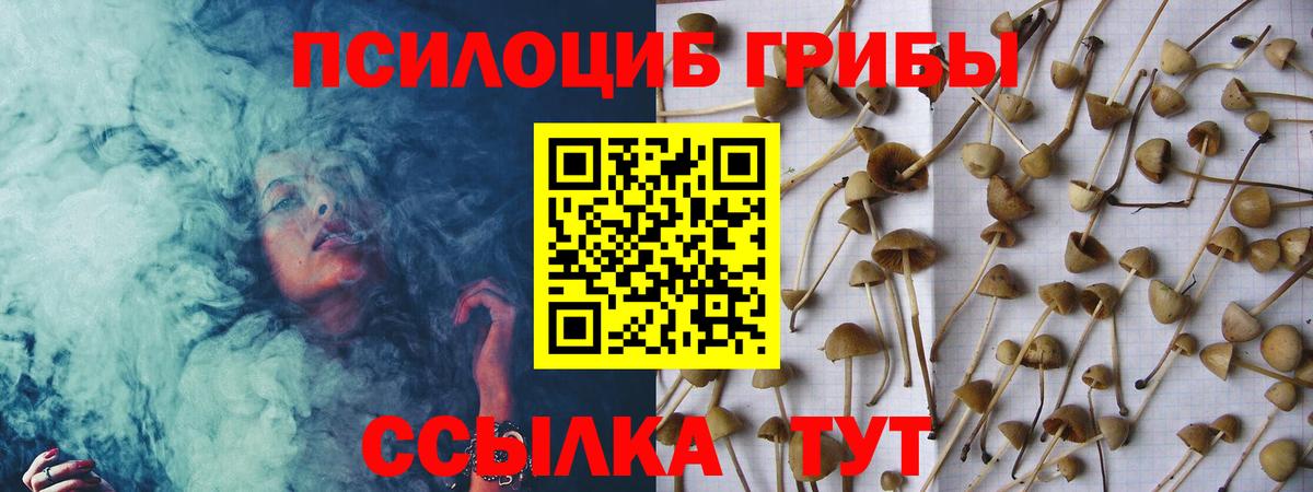Галлюциногенные грибы мухоморы  Псилоцибиновые грибы GOLDEN TEACHER  наркотики  Вход с VPN  Зерноград 